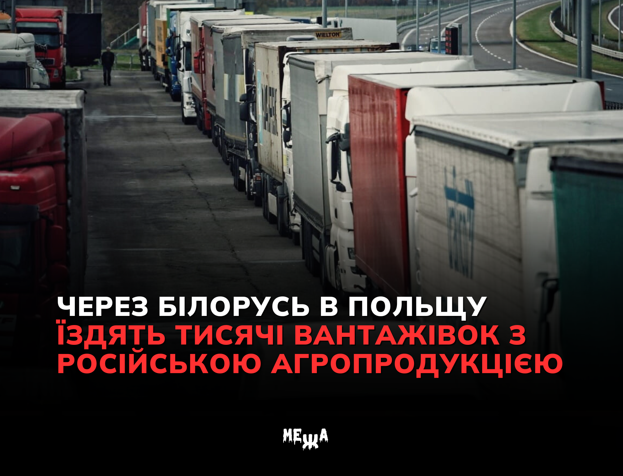 Через Білорусь в Польщу їздять тисячі вантажівок з російською агропродукцією — УП